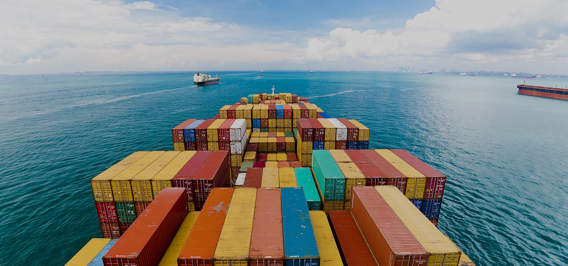 Specializes In Dry Bulk Activities